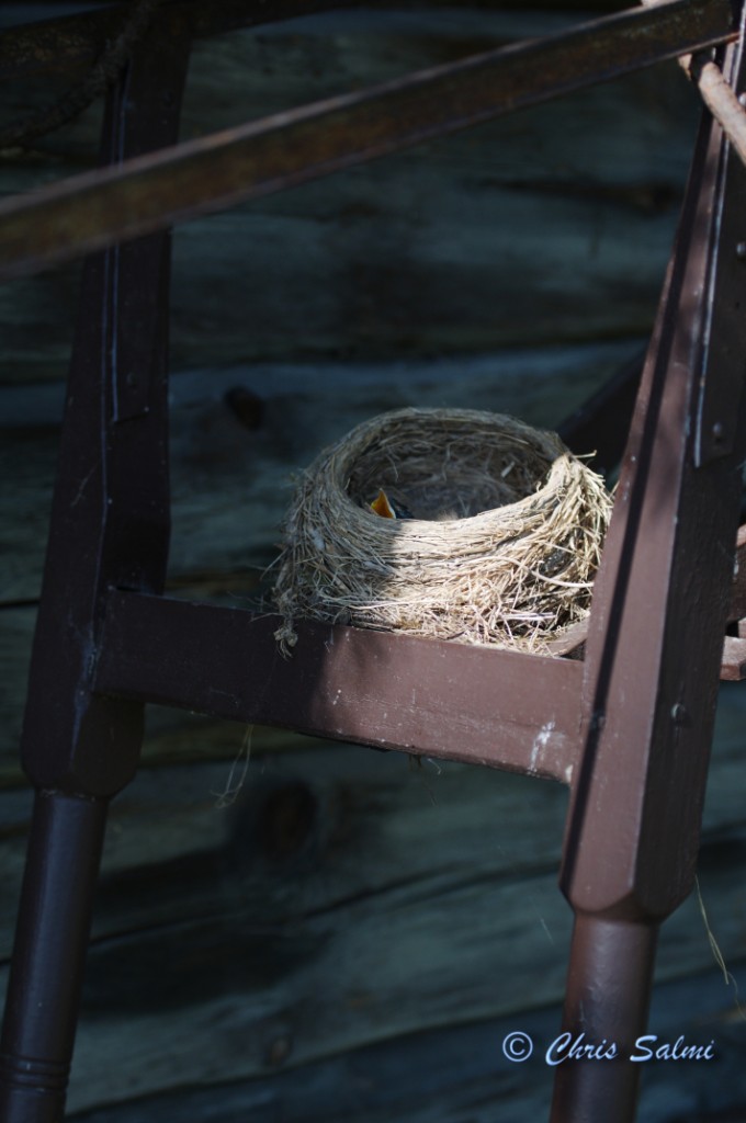 _DSC6488.JPG - En sparkstötting som bostötta