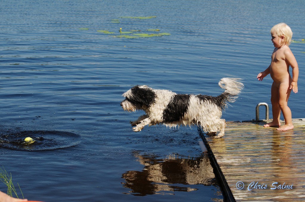 _DSC6540.JPG - Alice kastar mer boll till Siri