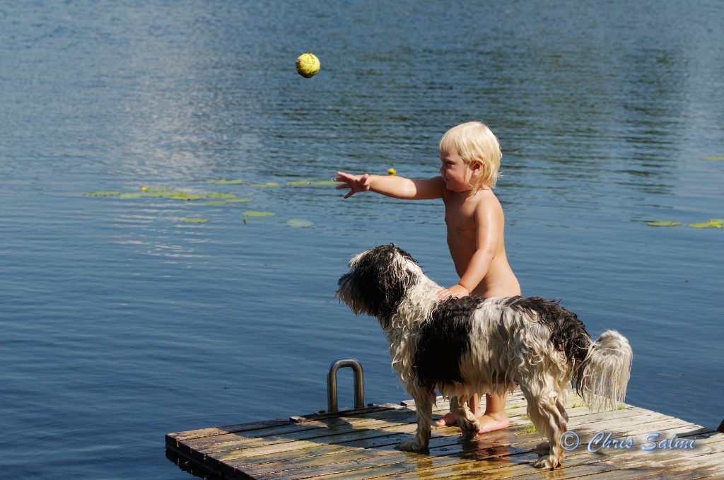 _DSC6541.JPG - Alice kastar mer boll till Siri - de verkar aldrig tröttna på leken - någon av dem