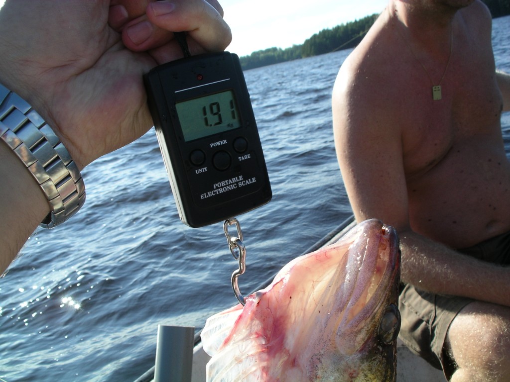 IMGP1509.JPG - Bra matfisk