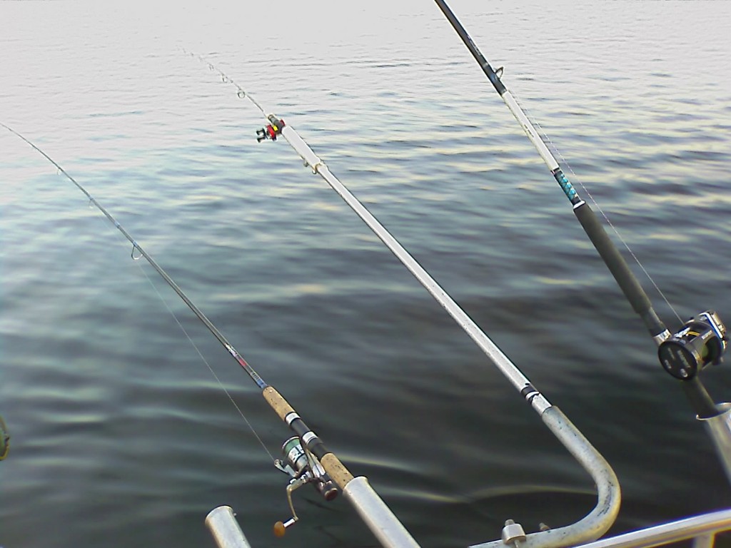 IMAGE_072.jpg - Riggar