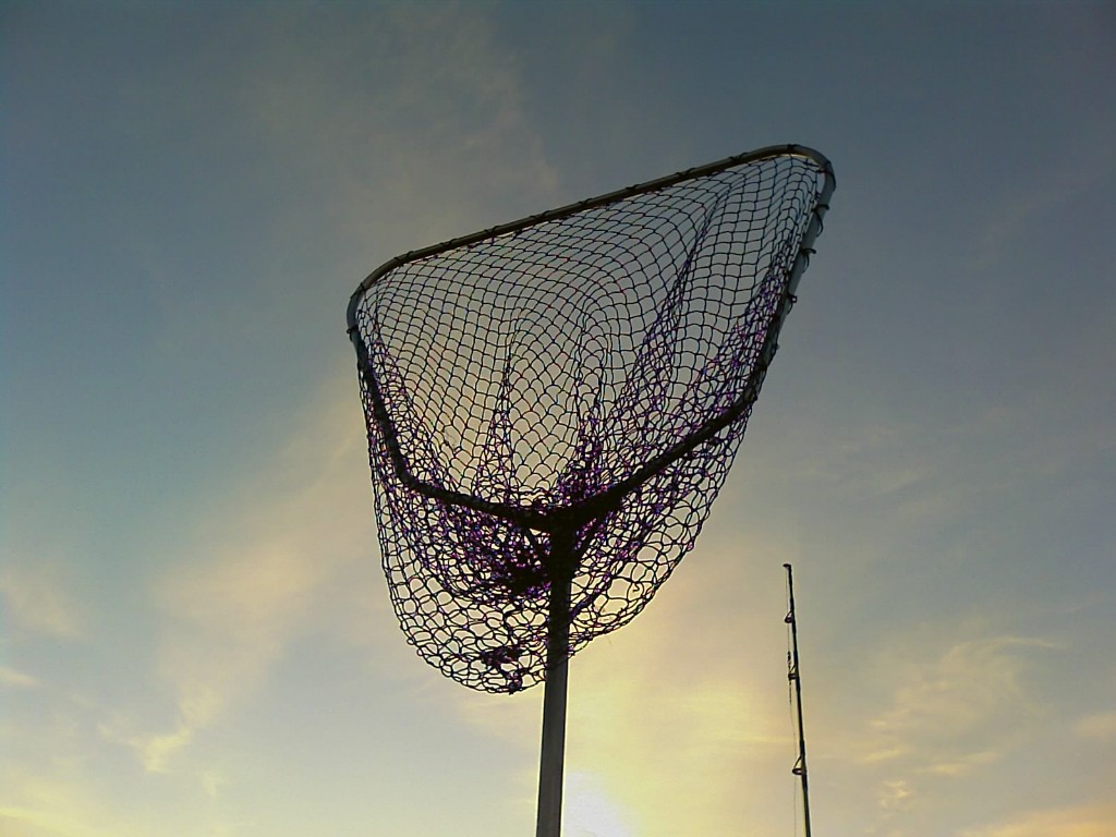 IMAGE_077.jpg - Åmänningens största håv?