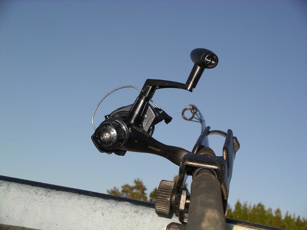 IMGP1126.JPG - Spöt som gösen glömde - bar en liten borre...