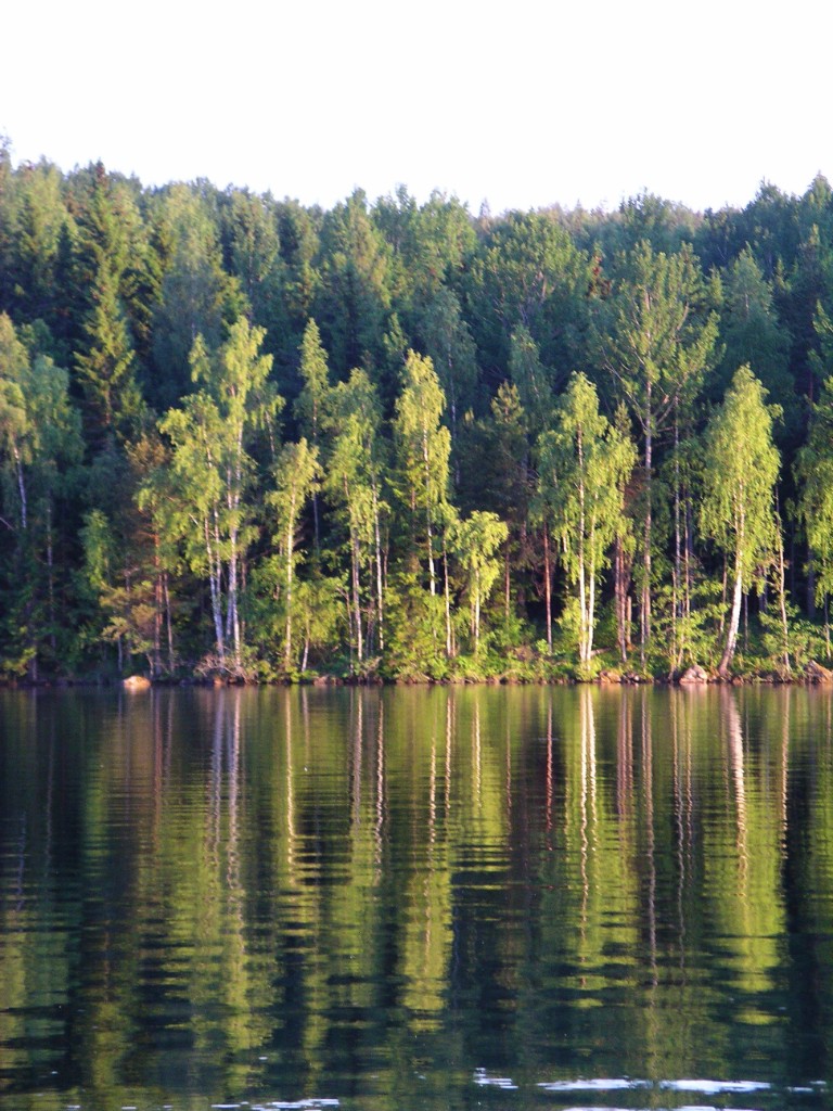 IMGP1160.JPG - Lungt och stilla