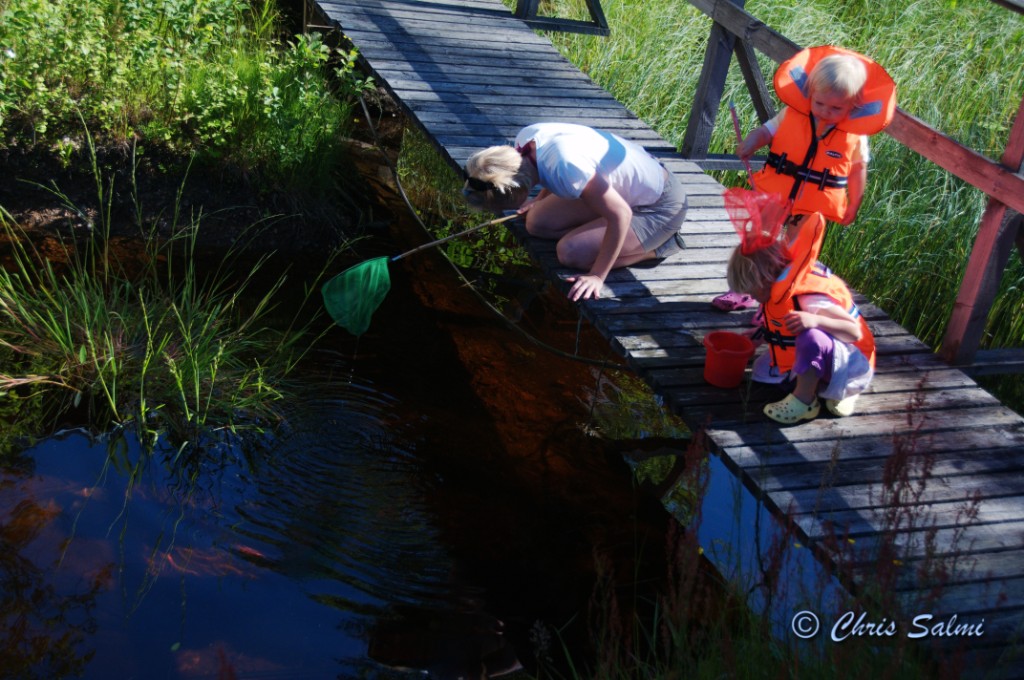 _DSC5135.JPG - På span efter grodyngel