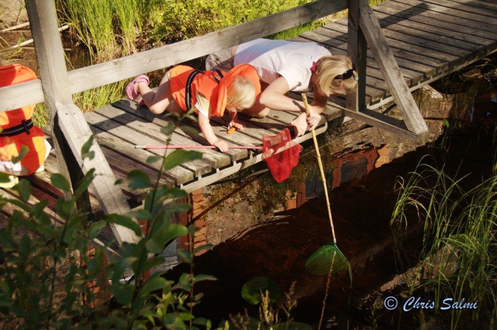 _DSC5146.JPG - Cilla håvar in