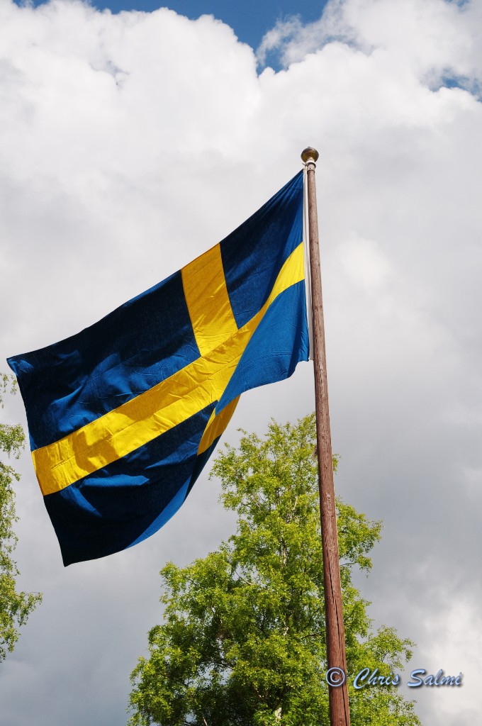 _DSC5018.JPG - Vår flagga