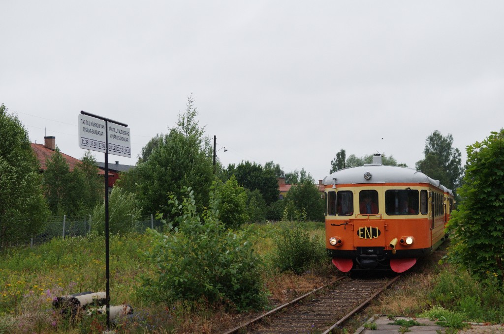 _DSC8767.JPG - Här kommer de