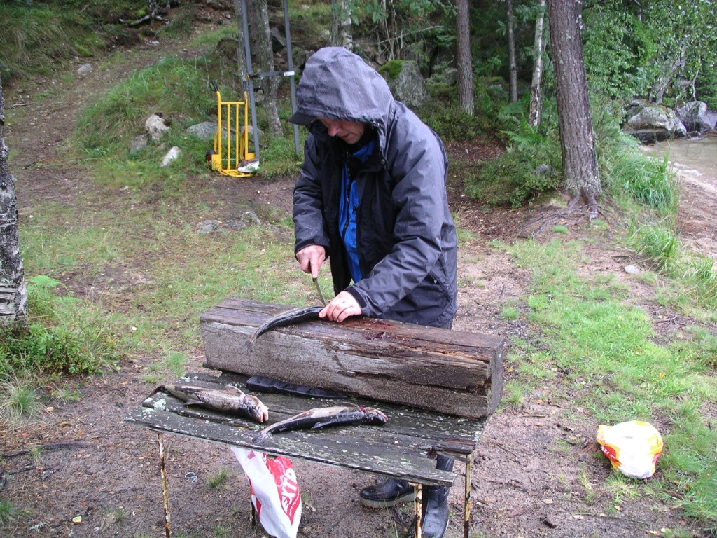 IMGP1584.JPG - Stefan är riktigt duktigt på att rensa och filéa