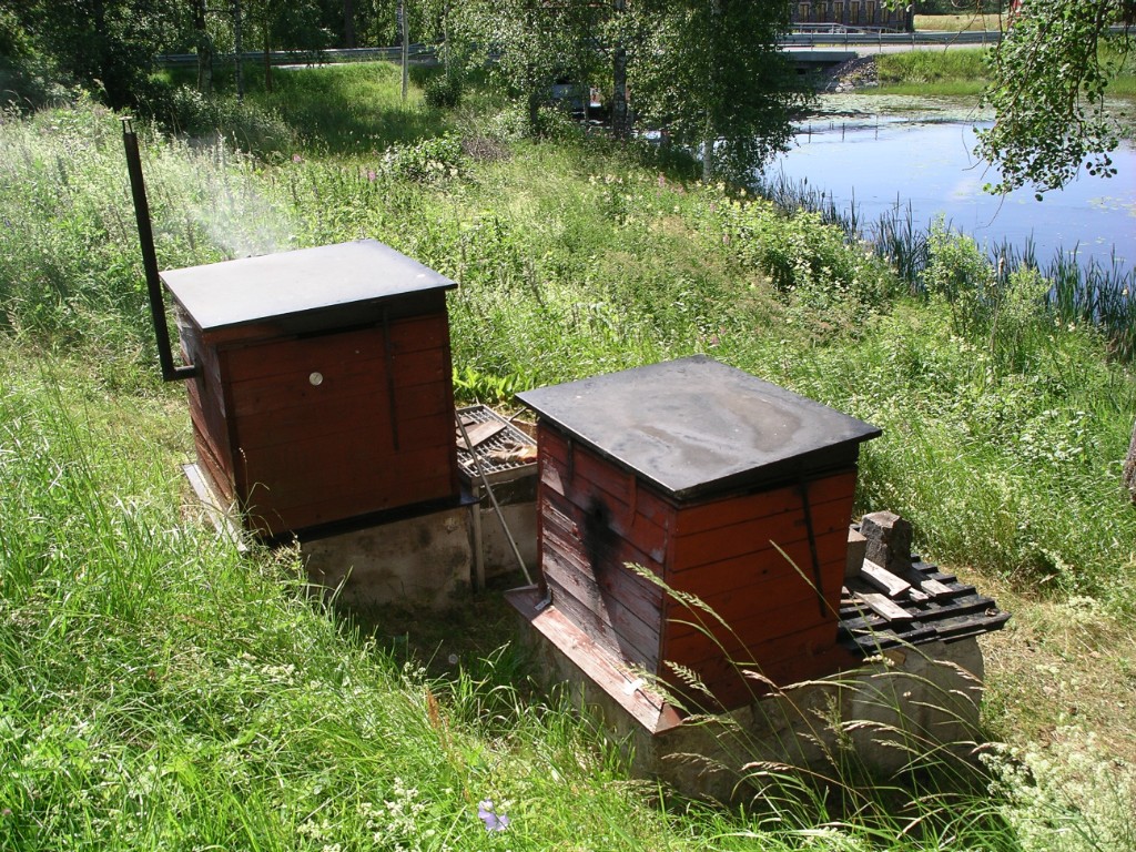IMGP1285.JPG - På rökningskurs hos Kalle på backen. Han har mer än 50 års erfarenhet!