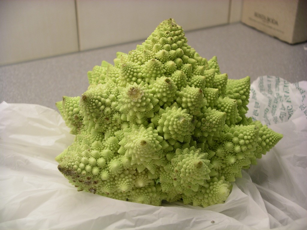 IMGP6857.JPG - Hittade denna i kylen och trodde det var något som muterat. Det var min mor som skulle vara snäll och bjuda på något gott....