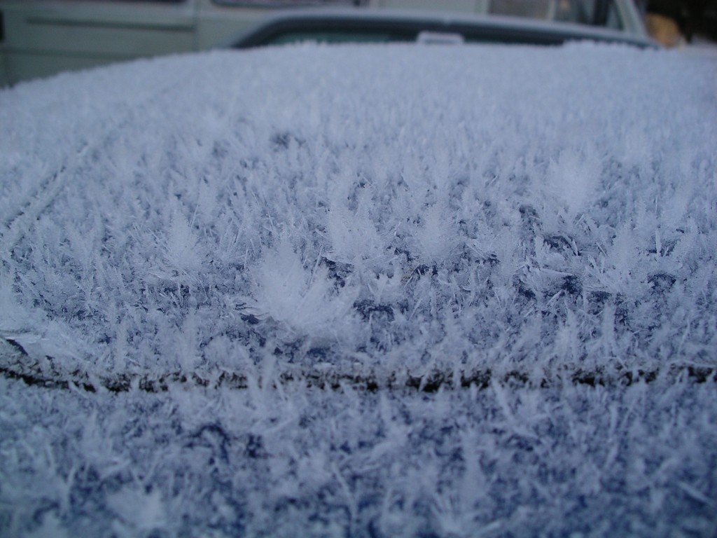 IMGP6934.JPG - Frost på Subarun