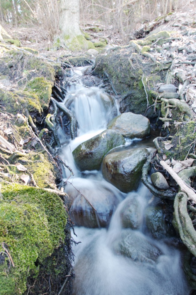 _DSC4294.JPG - Vårbäck på Lidingö 2009.