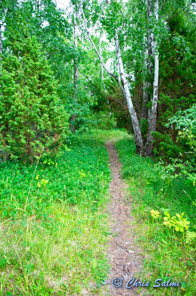 _DSC6941.JPG - Klumpudden, Törnerum, Kalmar