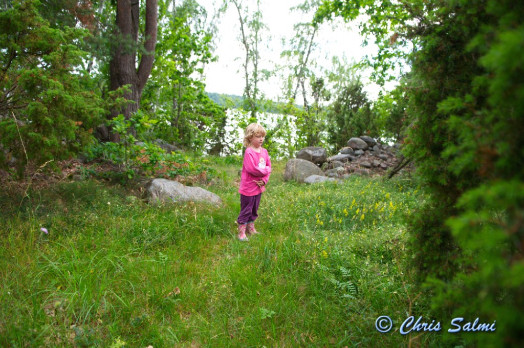 _DSC6954.JPG - Klumpudden, Törnerum, Kalmar