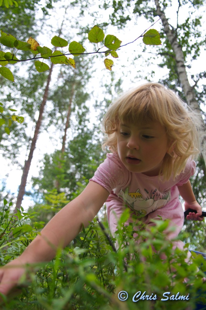 _DSC7518.JPG - Titta