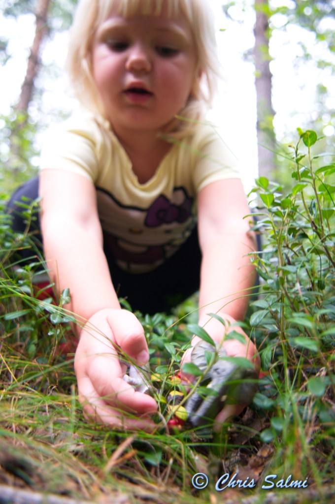 _DSC7544.JPG - Alice plockar med hjälp av elefant