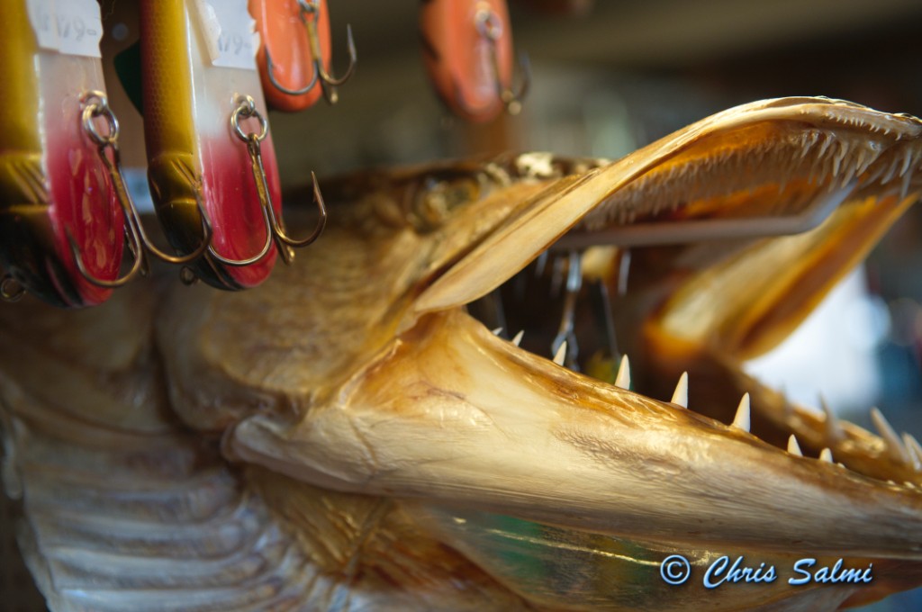 _DSC6637.JPG - Fotade i en fiskeaffär. Chris som föreslog objektet fastnade för köplusten, men Jesper tog några riktigt fina bilder