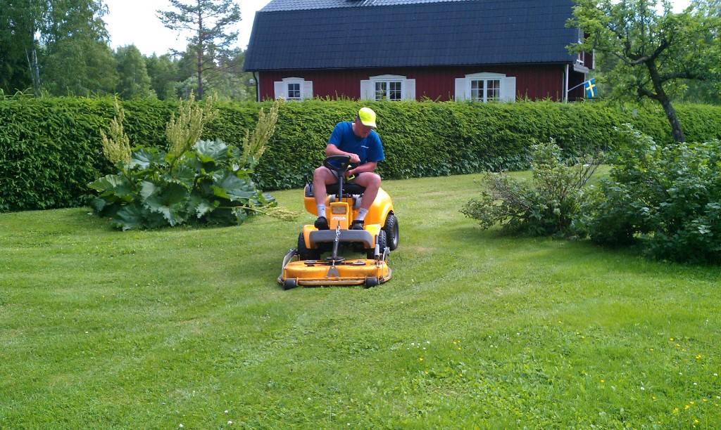 IMAG0610.jpg - Cilla rattar gräsklipparen