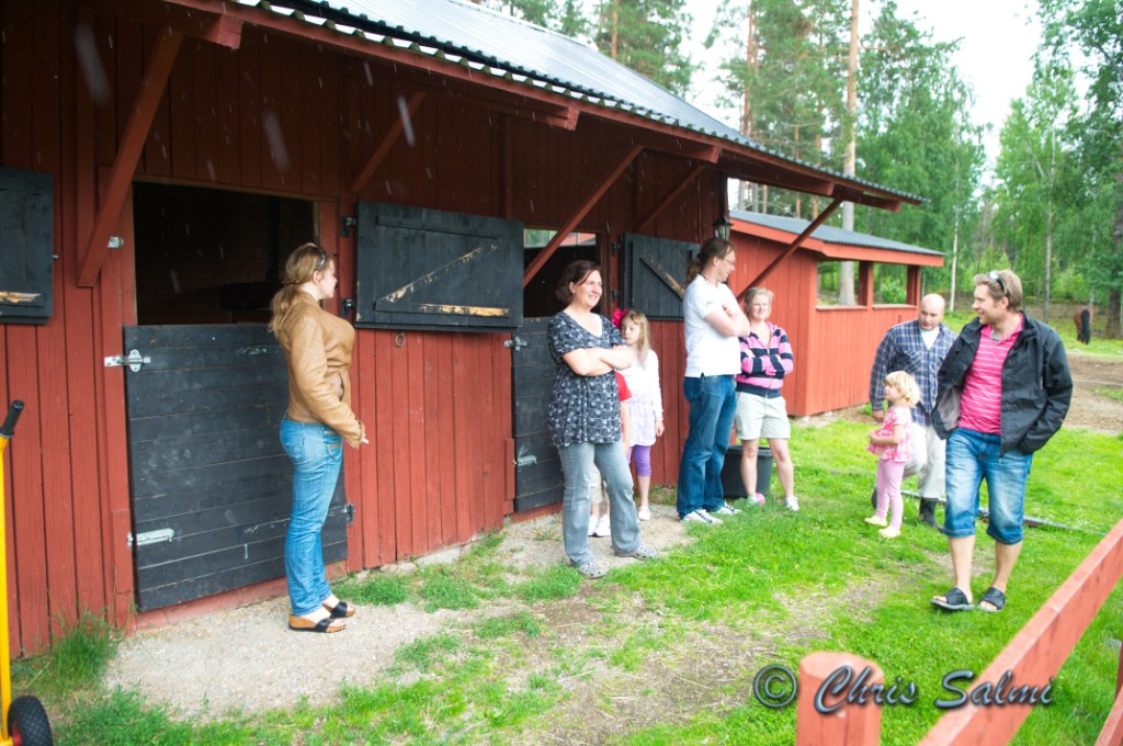 _DSC6578.JPG - Midsommardagen och änglarna gråter