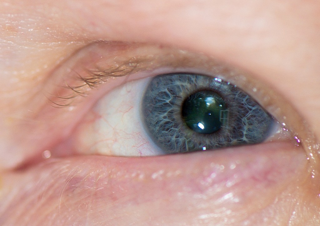 _DSC7043.JPG - Sten - så ser han ut....