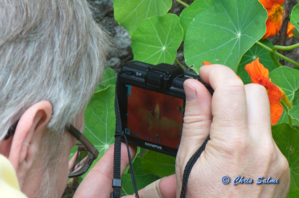 _DSC7057.JPG - Sten plåtar blommor. Han var med och tog några av blombilderna jag lagt ut här
