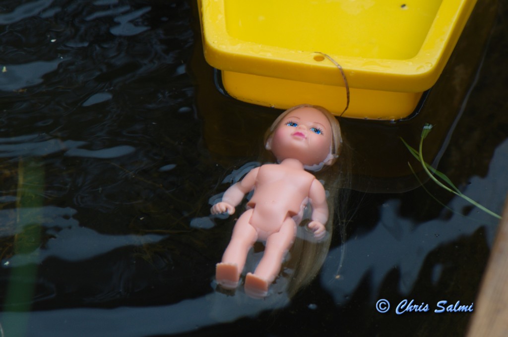 _DSC7088.JPG - Dockan ser död ut