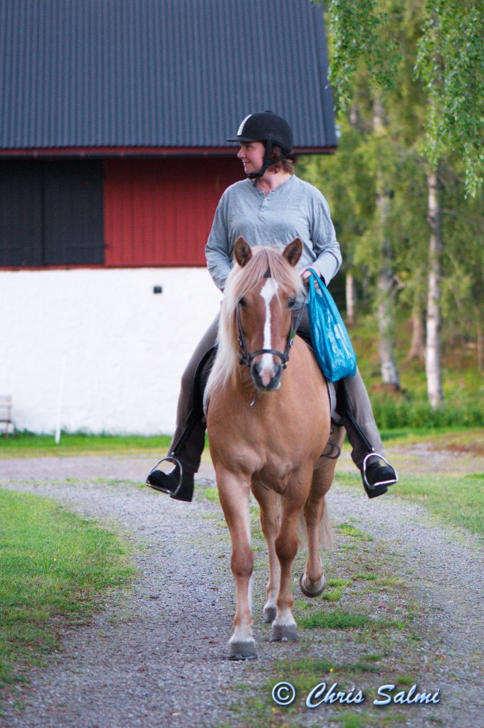 _DSC7472.JPG - Syster Katarina kommer på besök