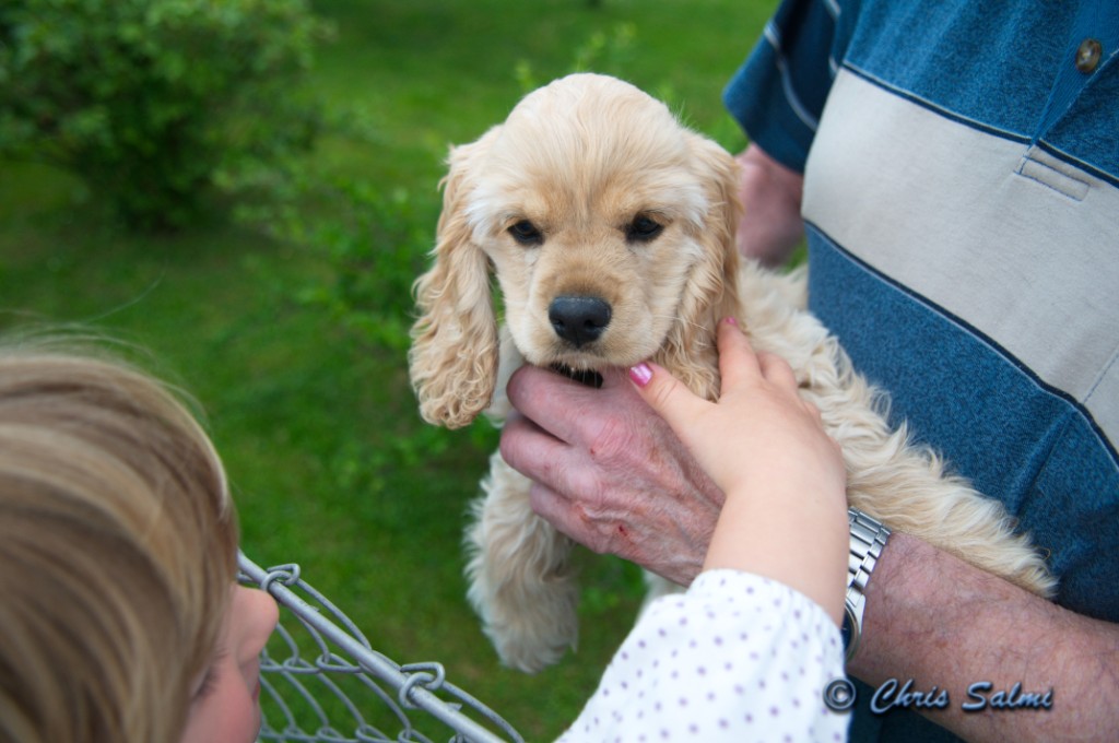 _DSC6145.JPG - och hunden Lina också