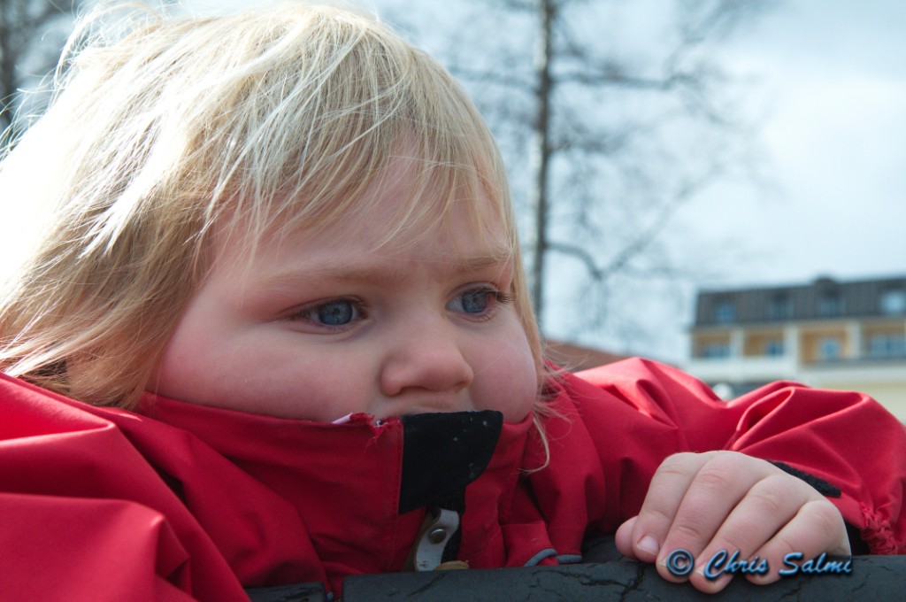 _DSC4220.JPG - Fundersam safari åkare - var är de vilda djuren