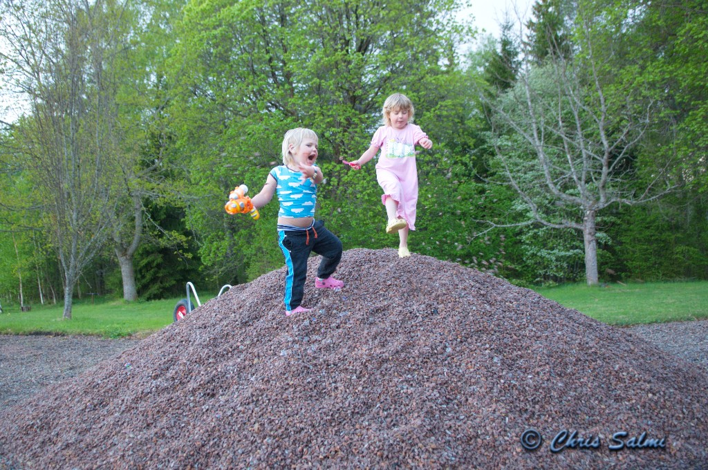 _DSC5995.JPG - En grushög är allt som behövs