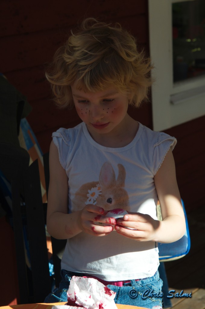 _DSC4831.JPG - rött skall det vara