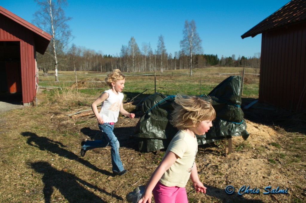 _DSC4874.JPG - Påskäggsjakten går vidare i rasande fart