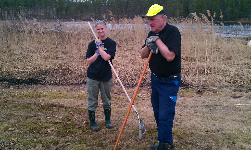 IMAG0263.jpg - Rutinerat vilande på krattan