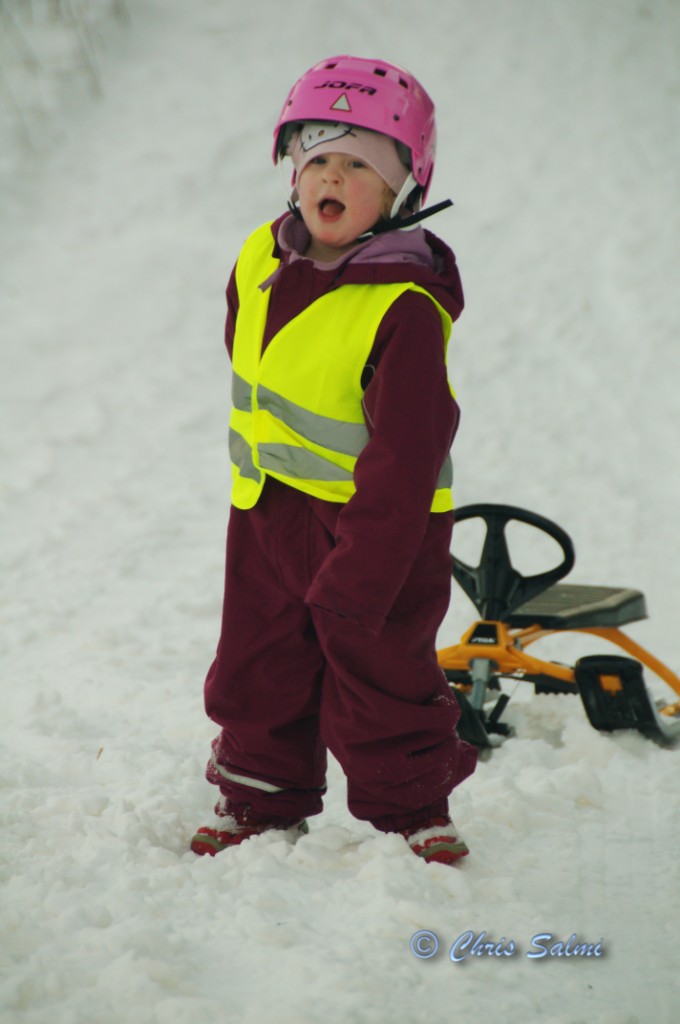 _DSC3037.JPG - Dra så långt hon orkar