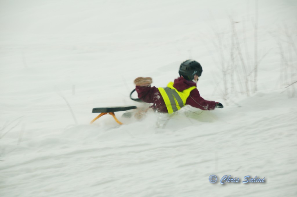 _DSC3078.JPG - ajajaj - vilken krash det blev